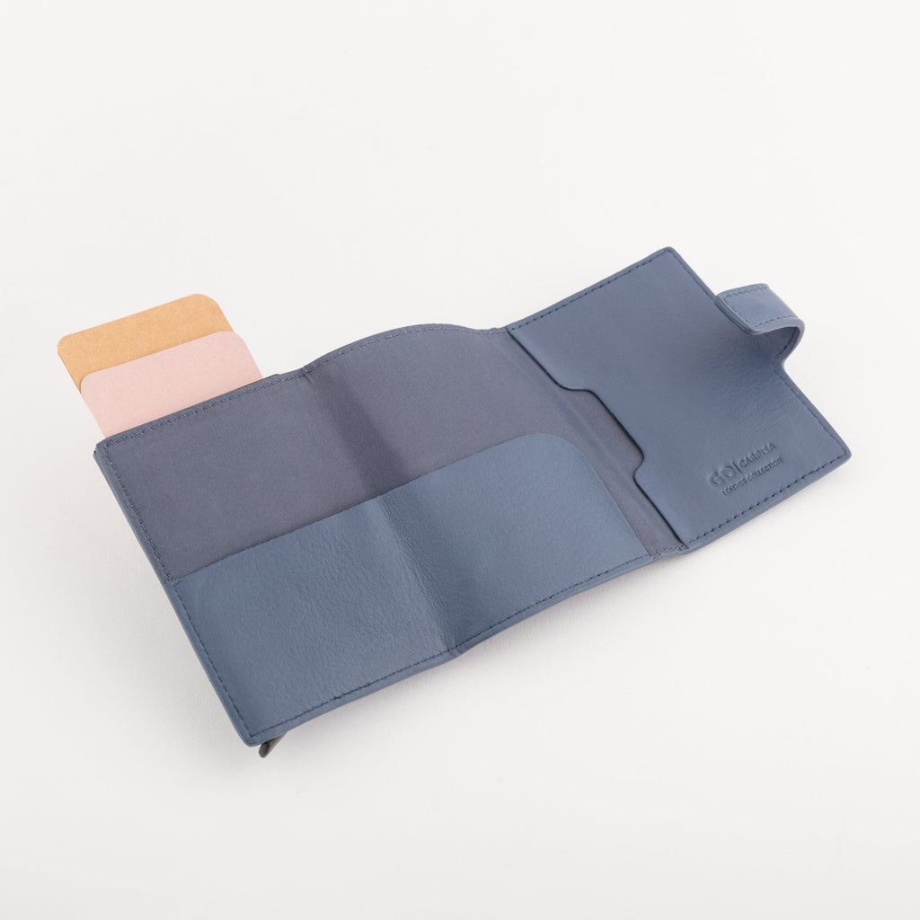 Carpisa P/Credit Cards - Ilasy New â€“ APC0510494349T01_03 â€“ APC05104943