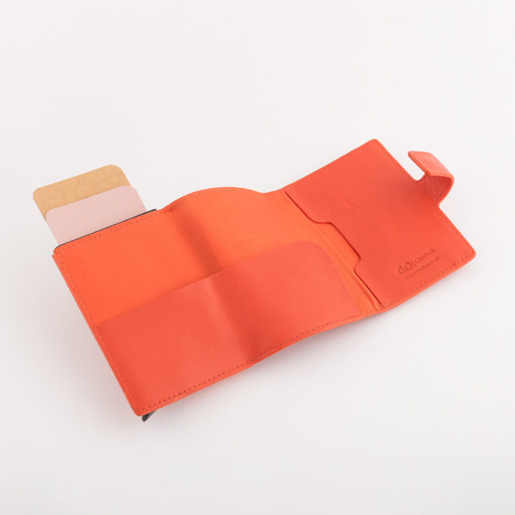 Carpisa P/Credit Cards - Ilasy New â€“ APC0510494362101_03 â€“ APC05104943